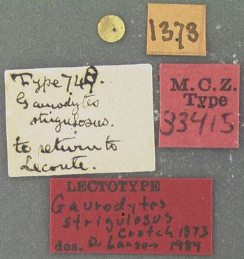 Media type: image;   Entomology 33415 Aspect: labels